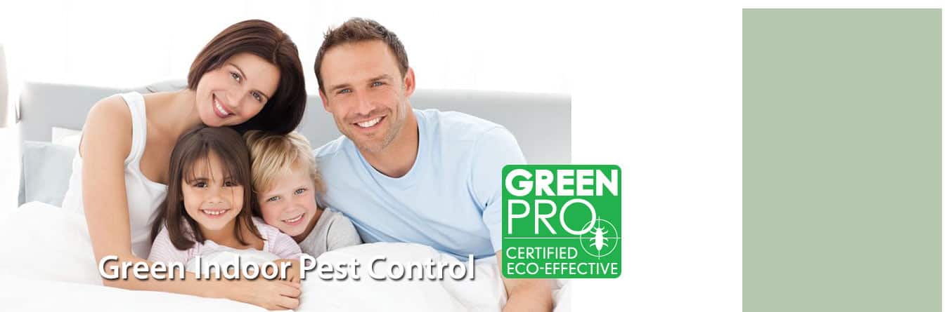 Green Solutions