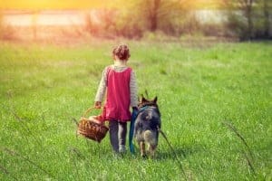 46623309 - little girl walking with dog on the meadow back to camera