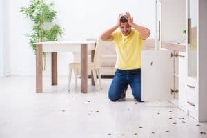 Stop Pests From Seeking Shelter in Your Home