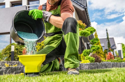 New Lawn Fertilization A Guide For Homeowners