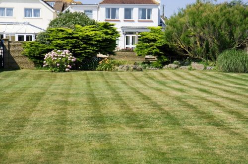 Fungus Control For Lawns In Florida: Mastering The Art Of A Healthy Lawn