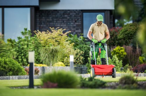 Lawn Care Tampa